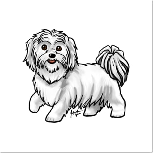 Dog - Shih Tzu - White Posters and Art